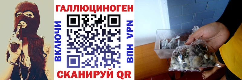 Псилоцибиновые грибы ЛСД  Ессентуки 